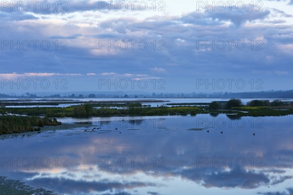 Extensive lake with slightly cloudy sky and calm water surface, Peenetal nature park Park, Mecklenburg-Western Pomerania, Germany