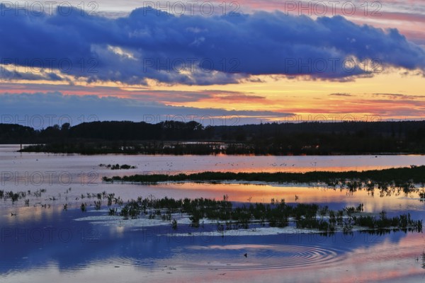 Colorful sunset over a lake with beautiful reflections in the water, Peenetal nature park Park, Mecklenburg-Western Pomerania, Germany