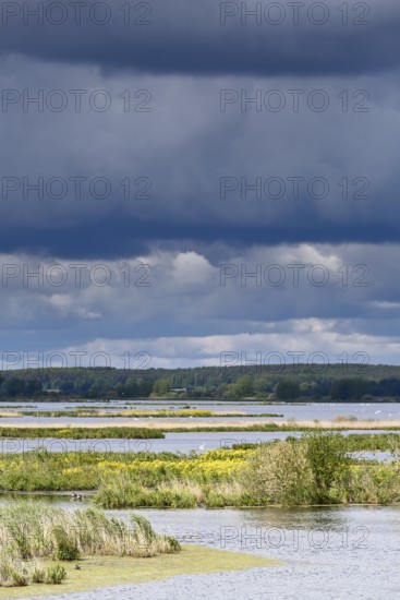 Dark clouds over an extensive water area with green landscape, Peenetal nature park Park, Mecklenburg-Western Pomerania, Germany