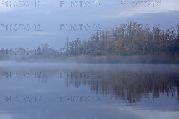 A lake in fog with trees, shades of blue and quiet surroundings, Peenetal nature park Park, Mecklenburg-Western Pomerania, Germany