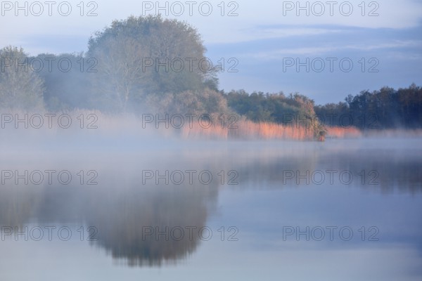 A foggy lake with trees in the background, peaceful morning atmosphere, Peenetal nature park Park, Mecklenburg-Western Pomerania, Germany