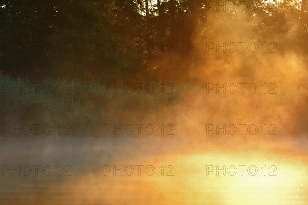 Golden fog at sunrise on a river in a natural atmosphere, Peenetal nature park Park, Mecklenburg-Western Pomerania, Germany