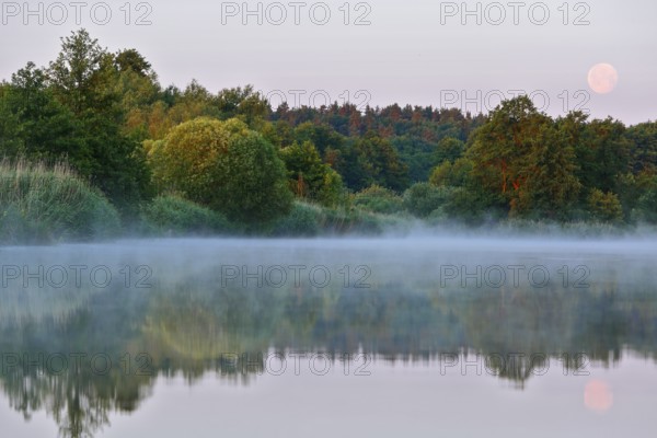 A foggy river with moonlight and trees on the banks creates a peaceful atmosphere, Peenetal nature park Park, Mecklenburg-Western Pomerania, Germany