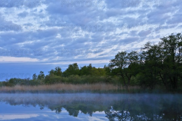 A calm lake reflects trees and a cloudy sky in the evening light, Peenetal nature park Park, Mecklenburg-Western Pomerania, Germany