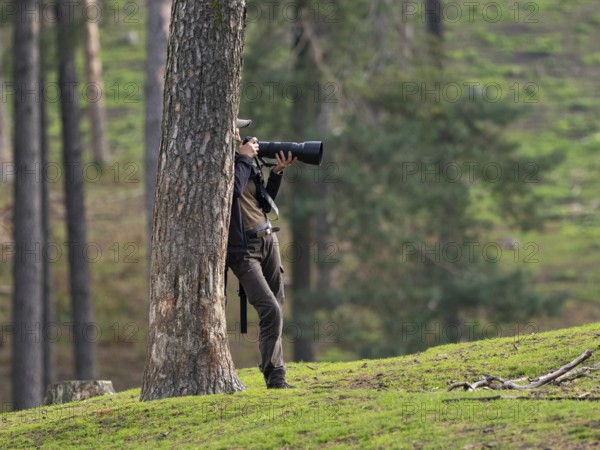 A nature photographer leaning against a pine tree, North Rhine-Westphalia, Germany