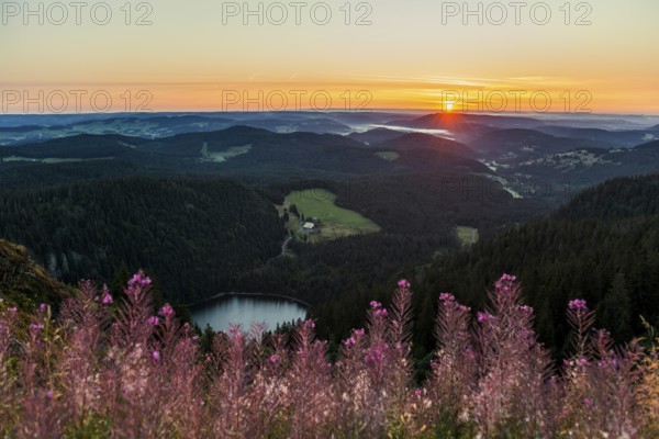 View from Feldberg to Feldsee looking east, sunrise, Black Forest, Southern Black Forest, Baden-Württemberg, Germany