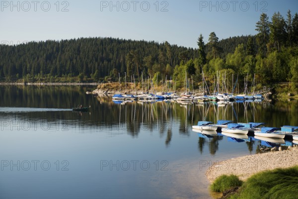 Morning atmosphere with colorful paddle boats and rowing boats, Schluchsee, Black Forest, Southern Black Forest, Baden-Württemberg, Germany