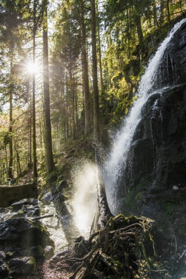 Zweribach Waterfalls, protected forest, St Märgen, Black Forest, Southern Black Forest, Baden-Württemberg, Germany