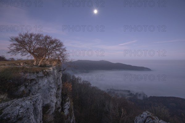 Dawn with moonlight illuminates Teck Castle over the fog Breitenstein, Swabian Jura, Baden-Württemberg