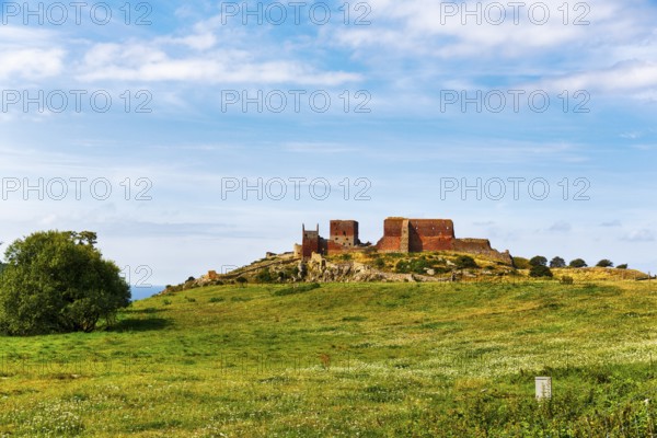 Ruins of Hammershus Fortress, medieval castle ruins on a cliff, tourist attraction, Baltic Sea on the horizon, Allinge-Sandvig, Bornholm, Denmark