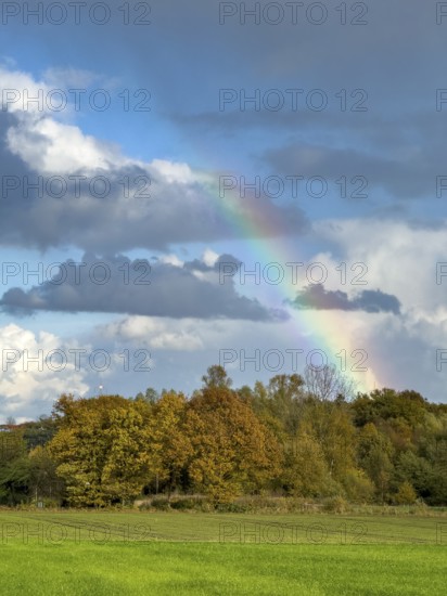 Rainbow in front of gray clouds Cumulus at the top bottom of gray stratocumulus, green field below and forest edge of mixed forest, Germany