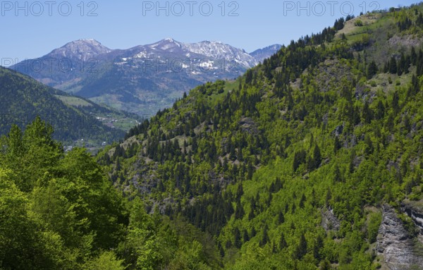 Lush forested mountains against clear blue skies and distant peaks, near Paksadzeebi, Ajara region, Ajara, autonomous republic, Georgia
