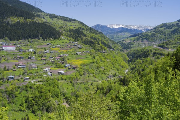 Green mountain landscape with scattered houses in a valley, Paksadzeebi, Adjara region, Ajara, autonomous republic, Georgia