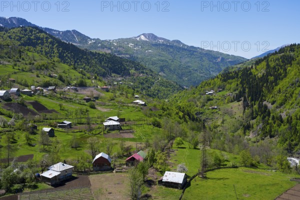 Houses and fields in a green valley in front of a mountain range, on the way to the Goderdzi Pass near Riketi, Ajara region, Ajara, autonomous republic, Georgia