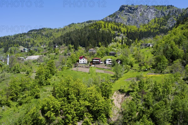 Village surrounded by green forests and meadows in a mountainous area, Paksadzeebi, Ajara region, Ajara, autonomous republic, Georgia