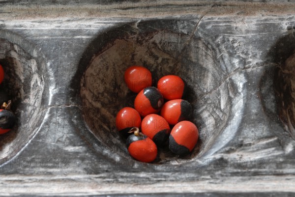Traditional wooden game Pallankujhi, Pallamkuzhi, Pallangulli, Pallankulli or Alagulimane with red and black beans, Chettinad, Tamil Nadu, India