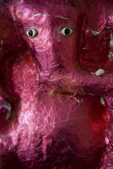 Pink Ganesha, Palace Hotel Devigarh, near Udaipur, Rajasthan, India