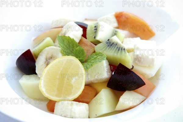 Fresh fruit salad with lemon, banana, papaya, kiwi, plums, melon and mint leaves in a bowl, Palace Hotel Devigarh, Delwara village near Udaipur, Rajasthan, India