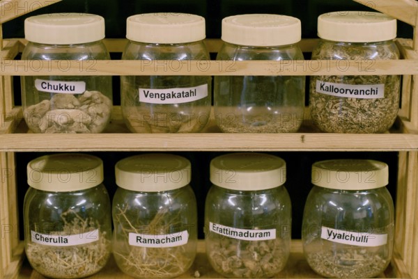 Containers of traditional medicinal herbs and spices, Villa Visalam, Cgh-Earth Hotel Group Hotel, Kanadukathan, Chettinad, Tamil Nadu, India