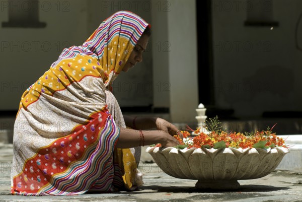 Woman wearing colorful sari arranging flowers in a large bowl, Karni Fort Bambora Palace Hotel, Bambora, Rajasthan, India