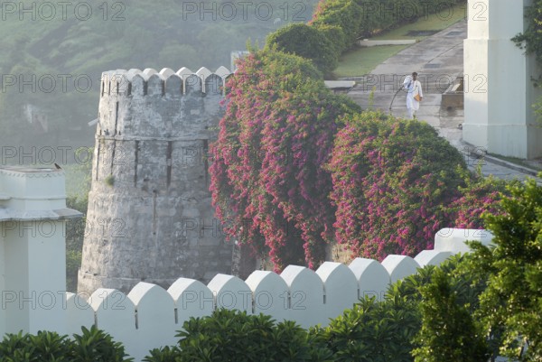 Hotel worker next to bougainvillea covered defensive defence tower in morning light, Devigarh Palace Hotel, Delwara village near Udaipur, Rajasthan, India