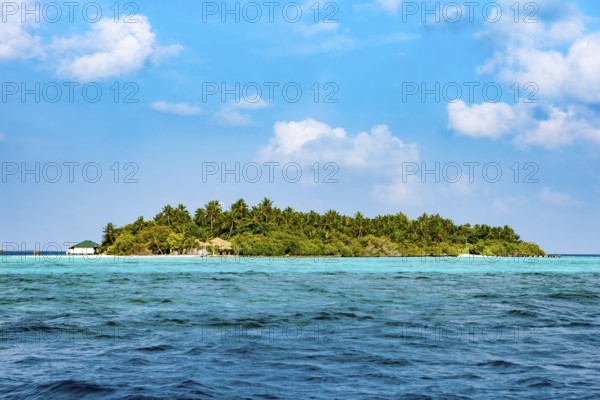Symbolic picture dream island holiday island deserted island with palm trees coconut trees (Cocos nucifera), in front of it turquoise blue lagoon above fair weather clouds against blue sky, Indian Ocean, Maldives