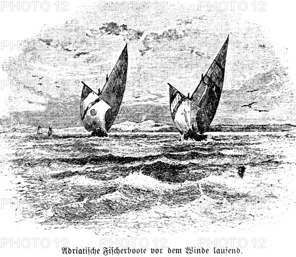 Fishing boats on the Adriatic sea with the aft wind, full sail, spinnaker headsail, swell, high speed, profession fisherman, Adriatic Sea, Italy, travel picture, historical illustration around 1900