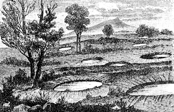 Circular openings near Rosarno, Calabria, created during the earthquake of 1783, 18th century, landscape, trees, stratovolcano, stratovolcano, natural disaster, danger, geology, Italy, travel picture, historical illustration around 1900