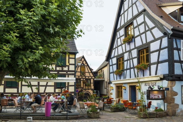 Picturesque village with half-timbered houses, Bergheim, Haut-Rhin, Alsace, France