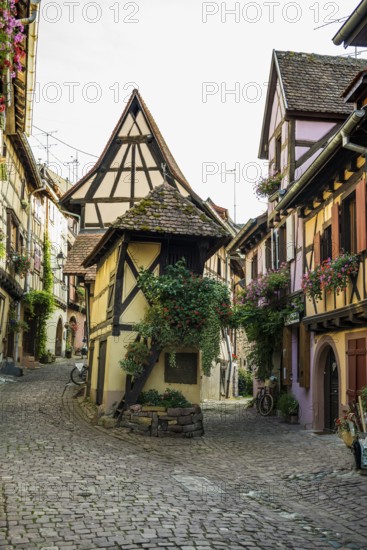 Picturesque village with half-timbered houses, Eguisheim, Haut-Rhin, Alsace, France