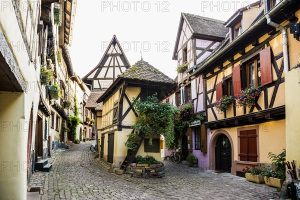 Picturesque village with half-timbered houses, Eguisheim, Haut-Rhin, Alsace, France