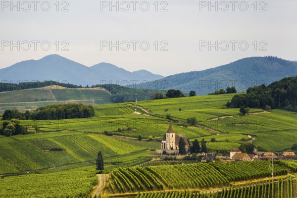Picturesque village in the vineyards, Hunawihr, Haut-Rhin Department, Alsace, France