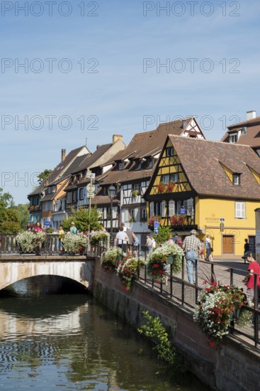 Half-timbered houses on the river, La Petite Venise, Krutenau district, Old Town, Colmar, Alsace, France