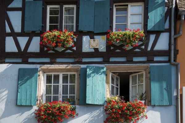 Timbered house, La Petite Venise, Krutenau district, Old Town, Colmar, Alsace, France