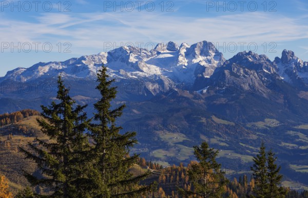 View from the Trattberg Alm to the Dachstein massif, autumn, Osterhorn Group, Salzkammergut, Province of Salzburg, Austria