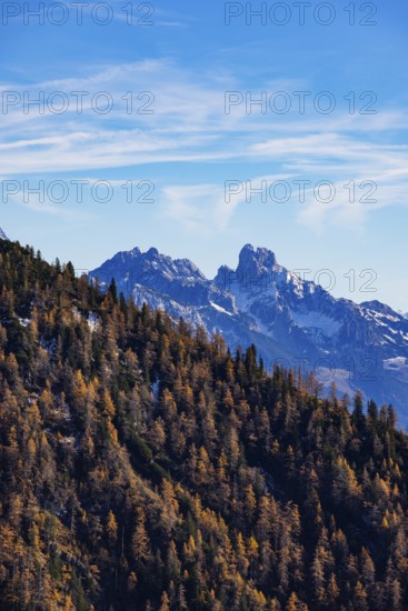 Trattberg Alm with view of the Dachstein massif with Bischofsmütze, Osterhorn Group, Salzkammergut, Province of Salzburg, Austria