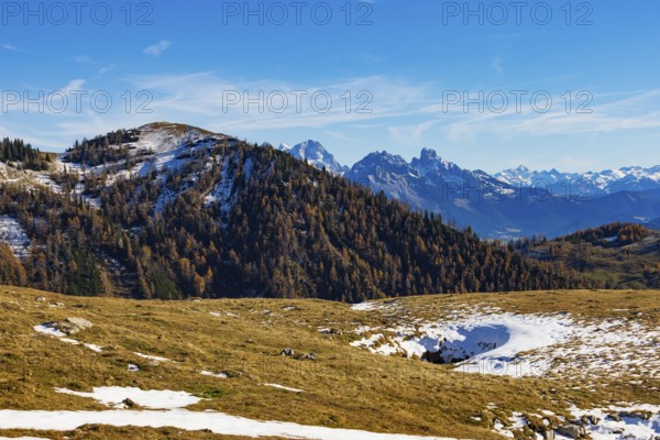 Trattberg Alm with a view of the Hochbühel and Dachstein Massif, Osterhorn Group, Salzkammergut, Province of Salzburg, Austria