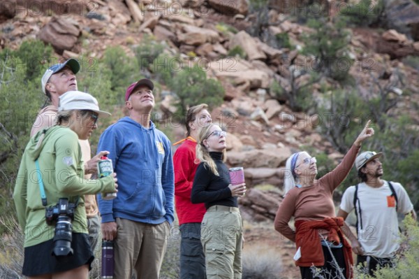 Loma, Colorado - A group of hikers pauses to study rock formations in Ruby Canyon. They were on a three-day river rafting trip on the Colorado River run by Holiday River Expeditions