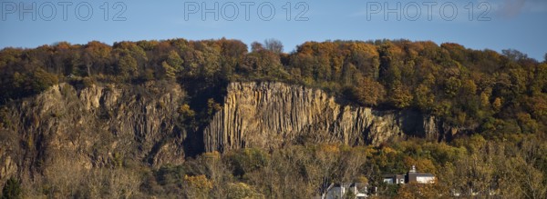 Rock wall with exposed basalt layers from the quarry, Kuckstein am Berg Ennert, Oberkassel, Bonn, North Rhine-Westphalia, Germany