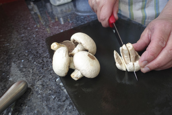 Southern German cuisine, preparing mushrooms, raw mushrooms, cutting, kitchen knife, men's hands, cutting board, vegetarian, vegan, healthy, food photography, studio, Germany