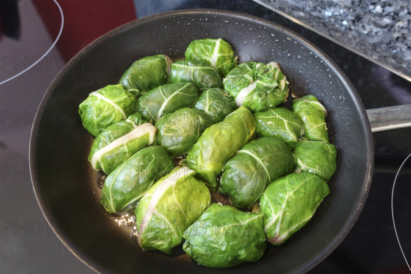 Swabian cuisine, roast tree frogs, stuffed Swiss chard in pan, preparation, stove, ceramic hob, cooking vegetables, vegetarian, vegan, healthy, typically Swabian, grandma's cuisine, traditional cuisine, food photography, studio, Germany