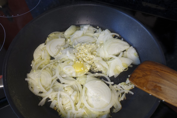 Southern German cuisine, preparation, sauté onions in a pan, stove, ceramic hob, frying fat, minced garlic, cooking vegetables, vegetarian, vegan, healthy, spatula, food photography, studio, Germany