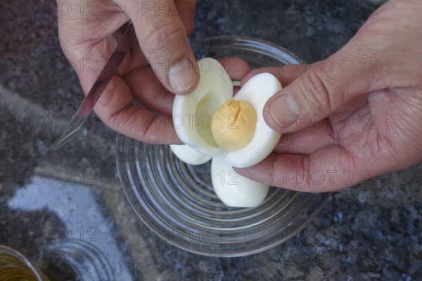 Southern German cuisine, preparation of aioli, garlic cream, mayonnaise, remove egg yolk from egg white, men's hands, food photography, studio, countertop, glass bowl, Germany