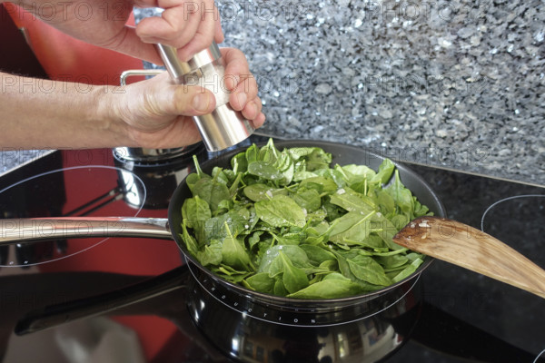 Southern German cuisine, preparation of spinach, pan, salt mill, seasoning, sauté, stove, ceramic hob, cooking vegetables, vegetarian, vegan, healthy, spatula, men's hands, traditional cuisine, food photography, studio, Germany