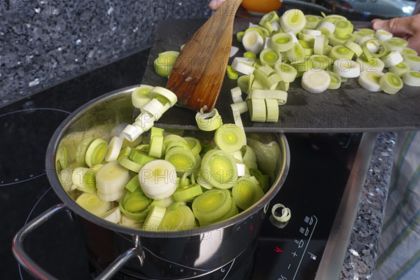 Southern German cuisine, preparation of leek vegetables, sauté leeks, cooking pot, stove, ceramic hob, cooking vegetables, vegetarian, vegan, healthy, spatula, cutting board, men's hand, traditional cuisine, food photography, studio, Germany