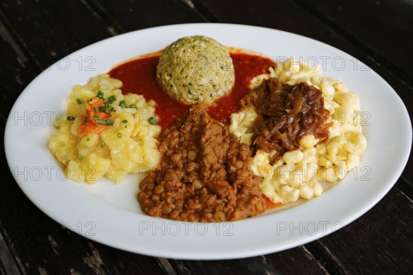 Swabian cuisine, potato salad with flavored onions, spätzle, knöpfle, dumplings with tomato sauce, vegetarian, plate, main course served on plate, grandmother's cuisine, regional, home cooking, typical Swabian, traditional cuisine, food photography, Germany