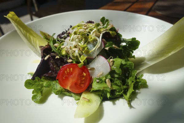 Small colorful salad, starter salad, sprouts, tomatoes, sunflower seeds, chicory, radishes, cucumber slices, mixed salad, vegetarian, vegan, healthy, food photography, plate, Caro's restaurant, restaurant, Tübingen, Baden-Württemberg, Germany