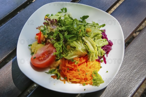 Small colorful salad, starter salad, tomato, grated carrot, green lettuce leaves, red cabbage, mixed salad, vegetarian, vegan, healthy, food photography, plate, Germany