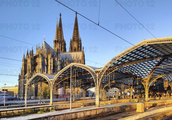 Central station with platform roof and cathedral early in the morning, Cologne, Rhineland, North Rhine-Westphalia, Germany
