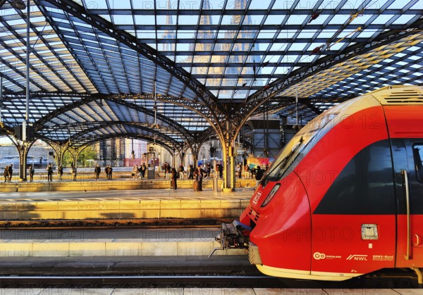 Central Station with regional express and view of the cathedral through the platform roof early in the morning, Cologne, North Rhine-Westphalia, Germany